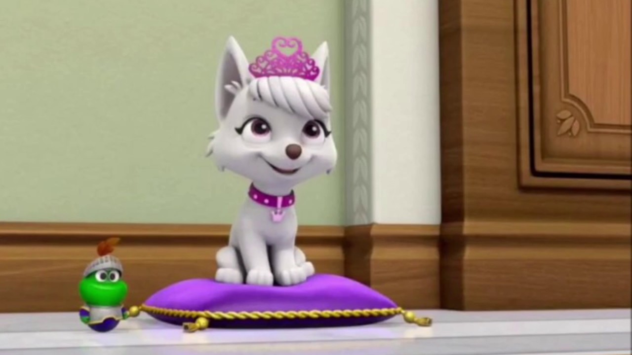 paw patrol mission paw image