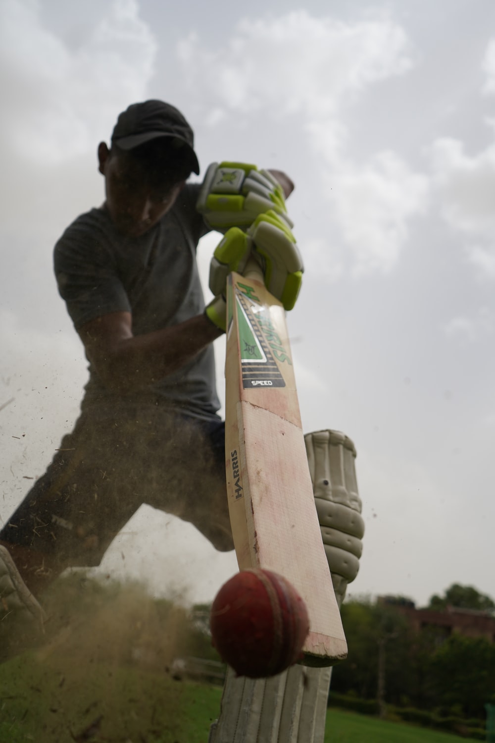 people playing cricket in a field during daytime photo