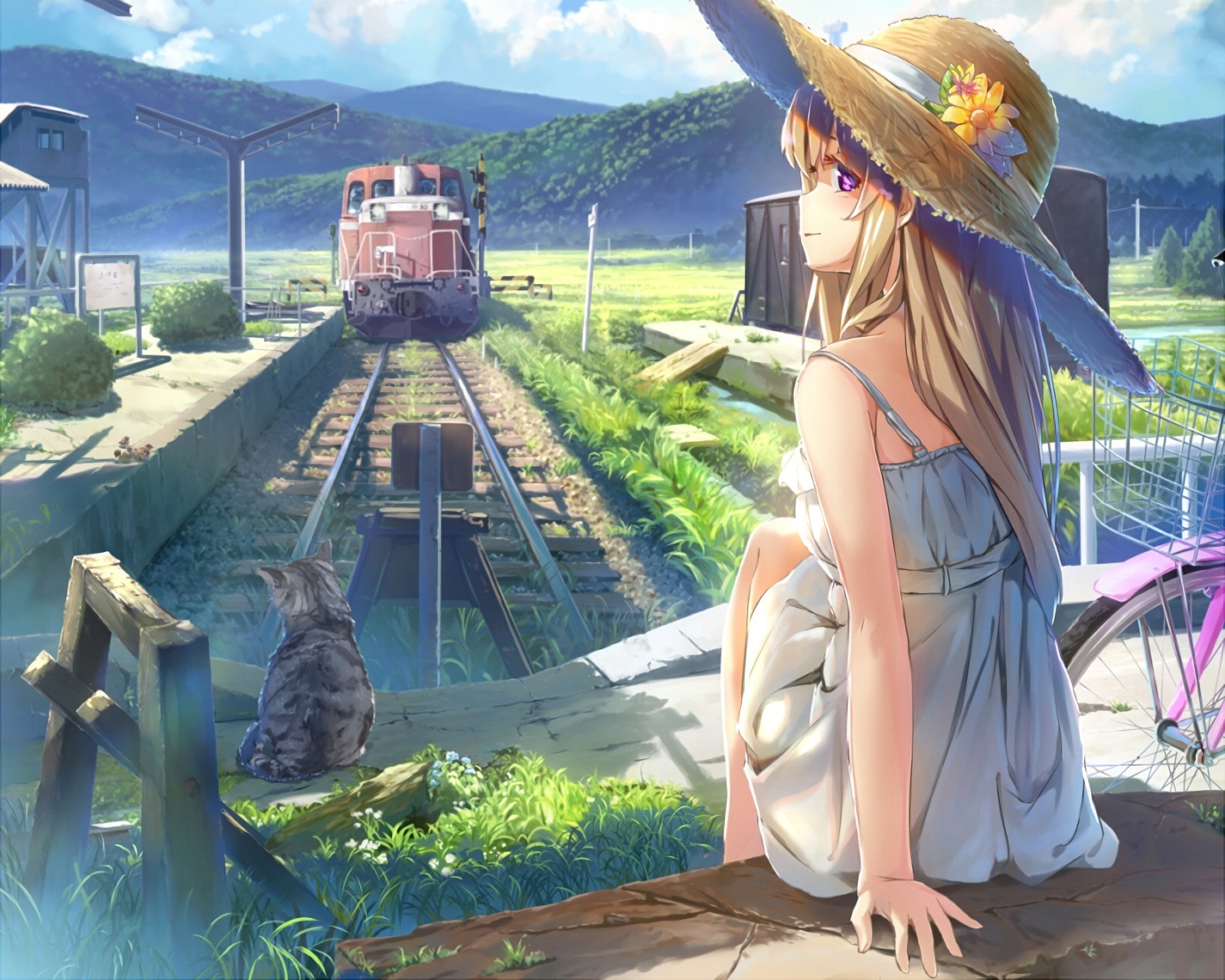 Wallpaper Anime Girl, Field, Summer Dress, Cat, Train, Strawhat, Hills:1600x1280