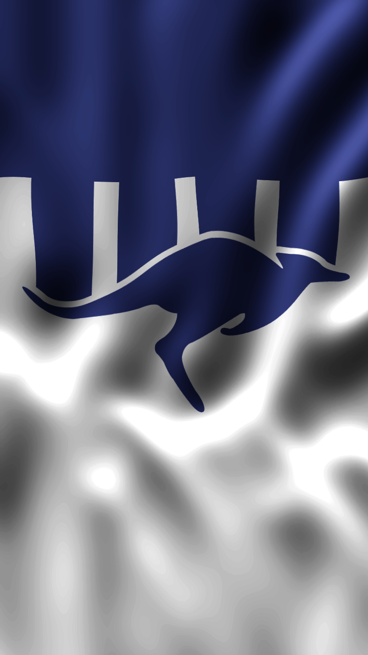 North Melbourne Football Club Wallpaper & Background Download