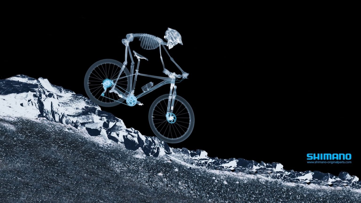 MTB Wallpaper, HD MTB Background on WallpaperBat