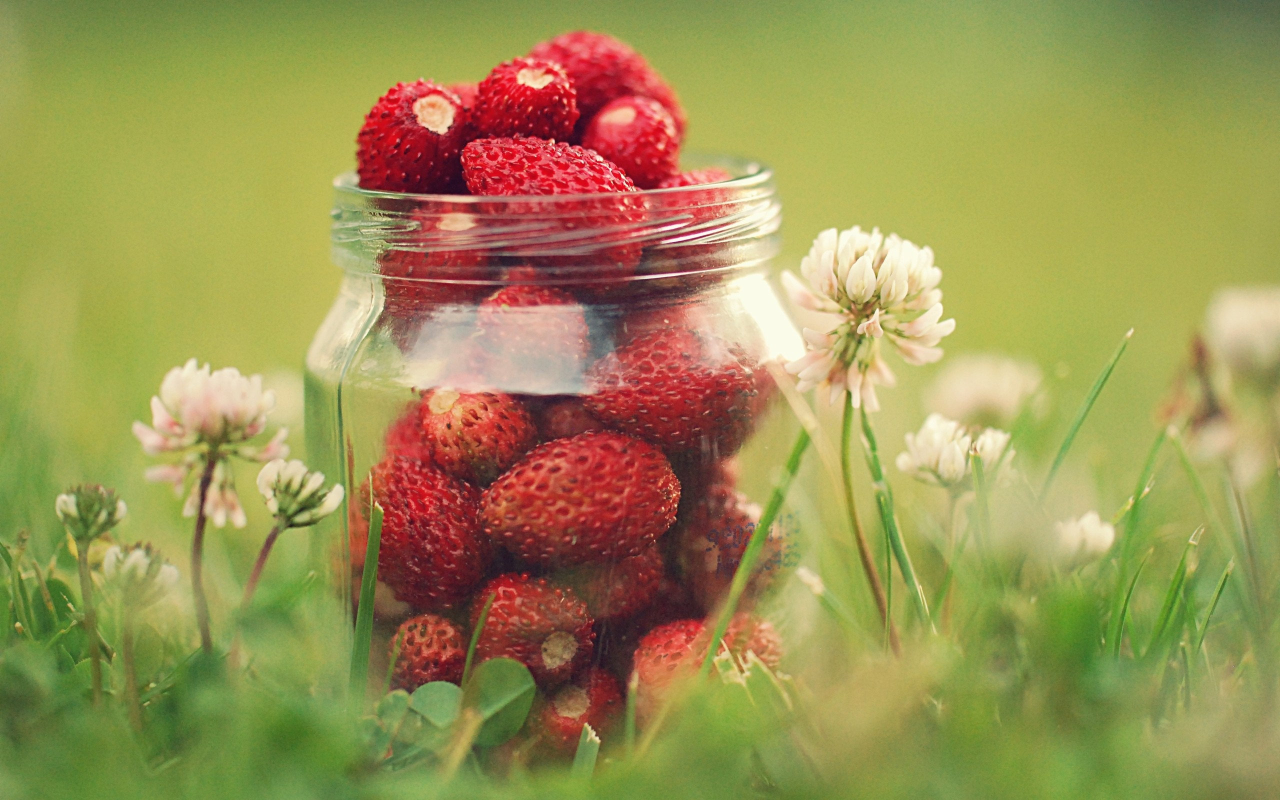 Spring Strawberry Wallpapers - Wallpaper Cave