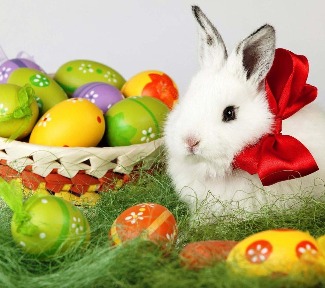 Big red ribbon on a fluffy Easter bunny