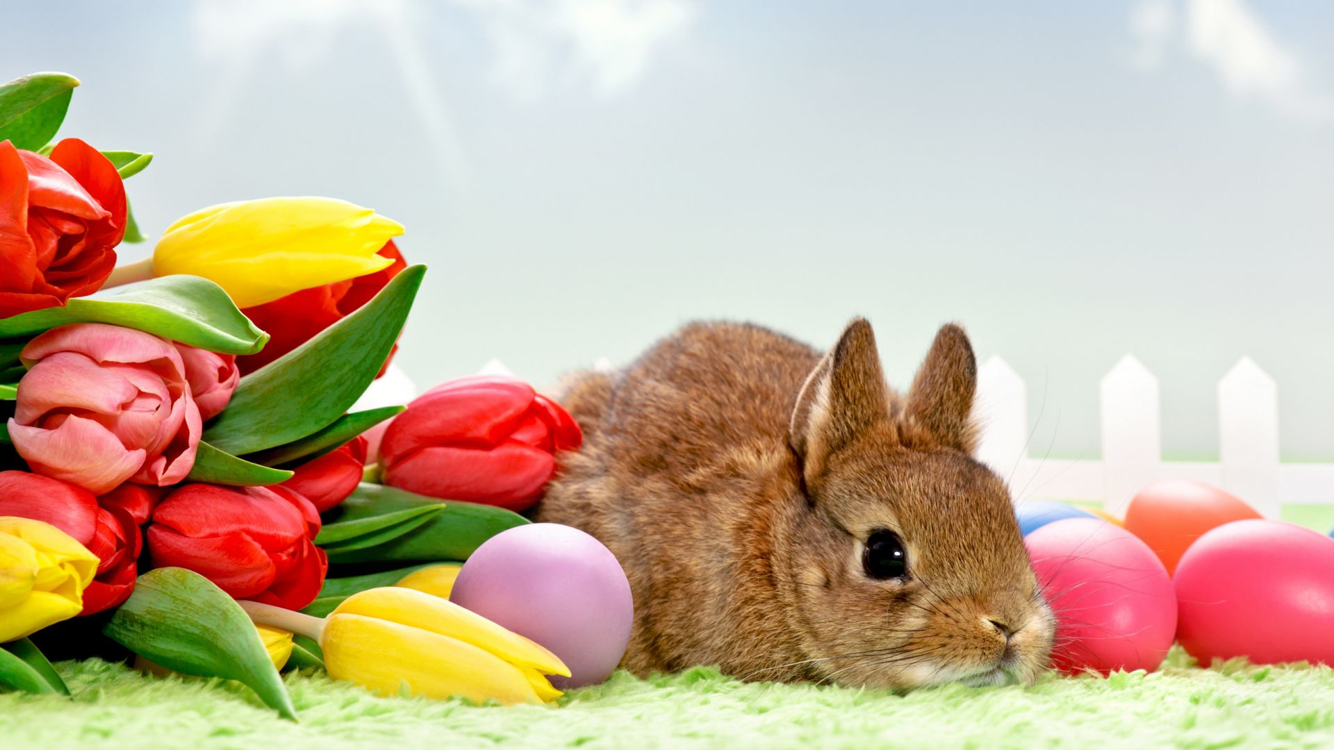 Easter Eggs with Rabbit Wallpaper