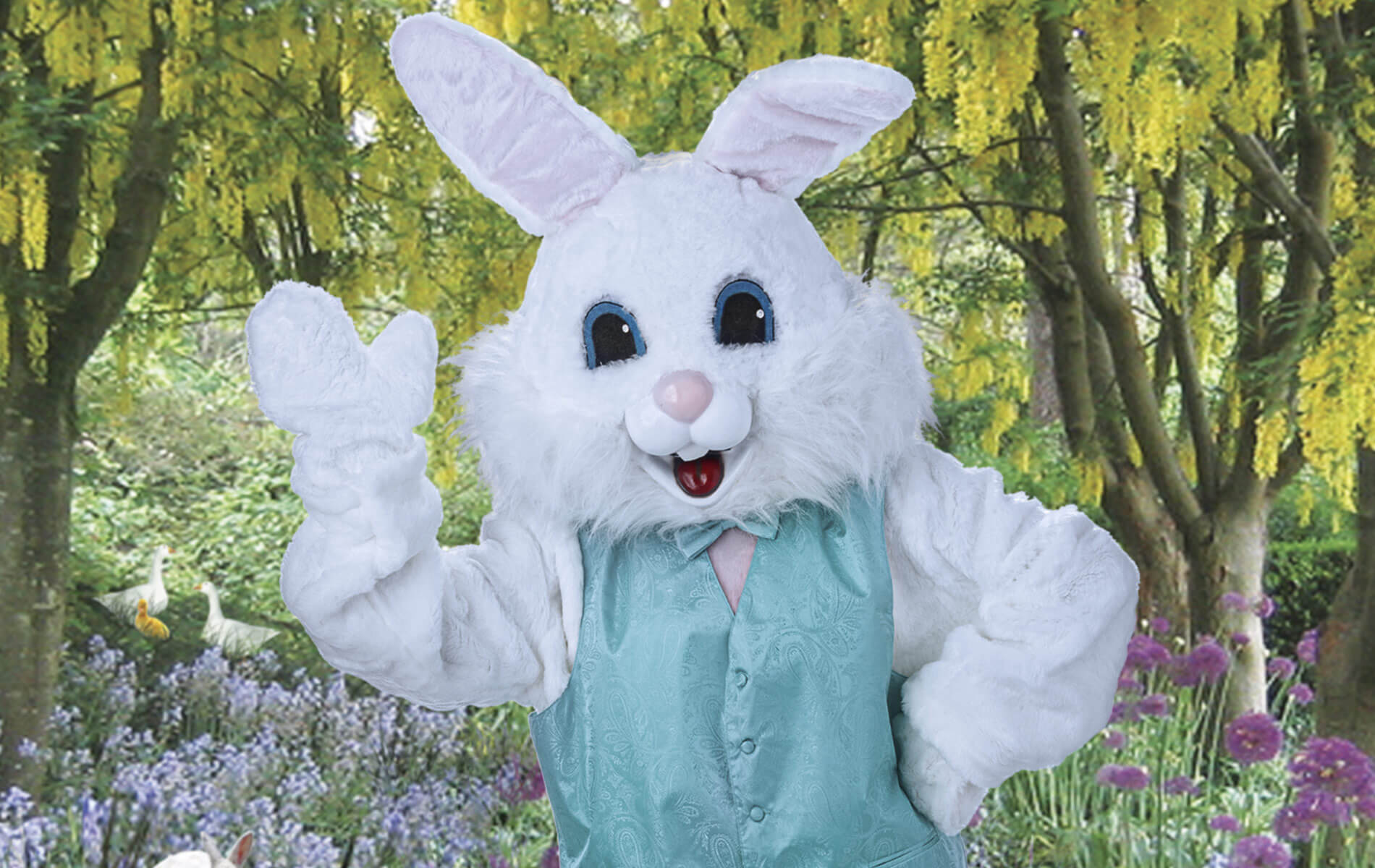 FREE Easter Bunny photo in League City