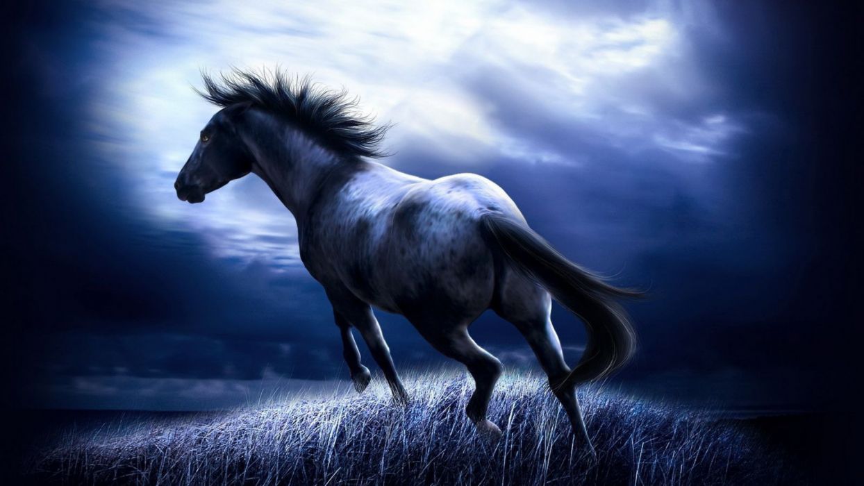Horse black art painting fantasy wallpaperx1080