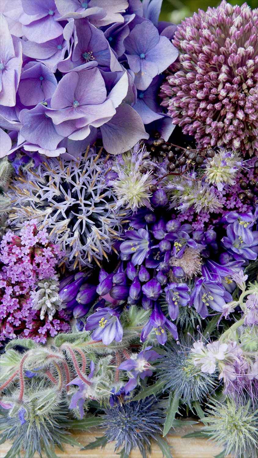 Free Floral Phone Wallpaper • Summer