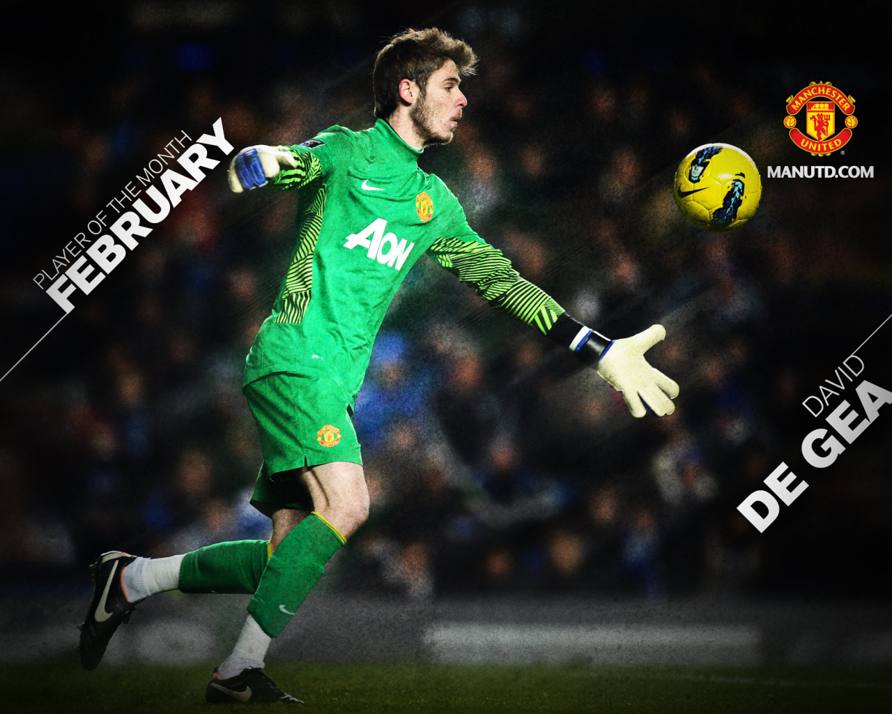 Free download David De Gea AON David De Gea AON Football Wallpaper HD [2560x1600] for your Desktop, Mobile & Tablet. Explore Goalkeepers Wallpaper. Goalkeepers Wallpaper