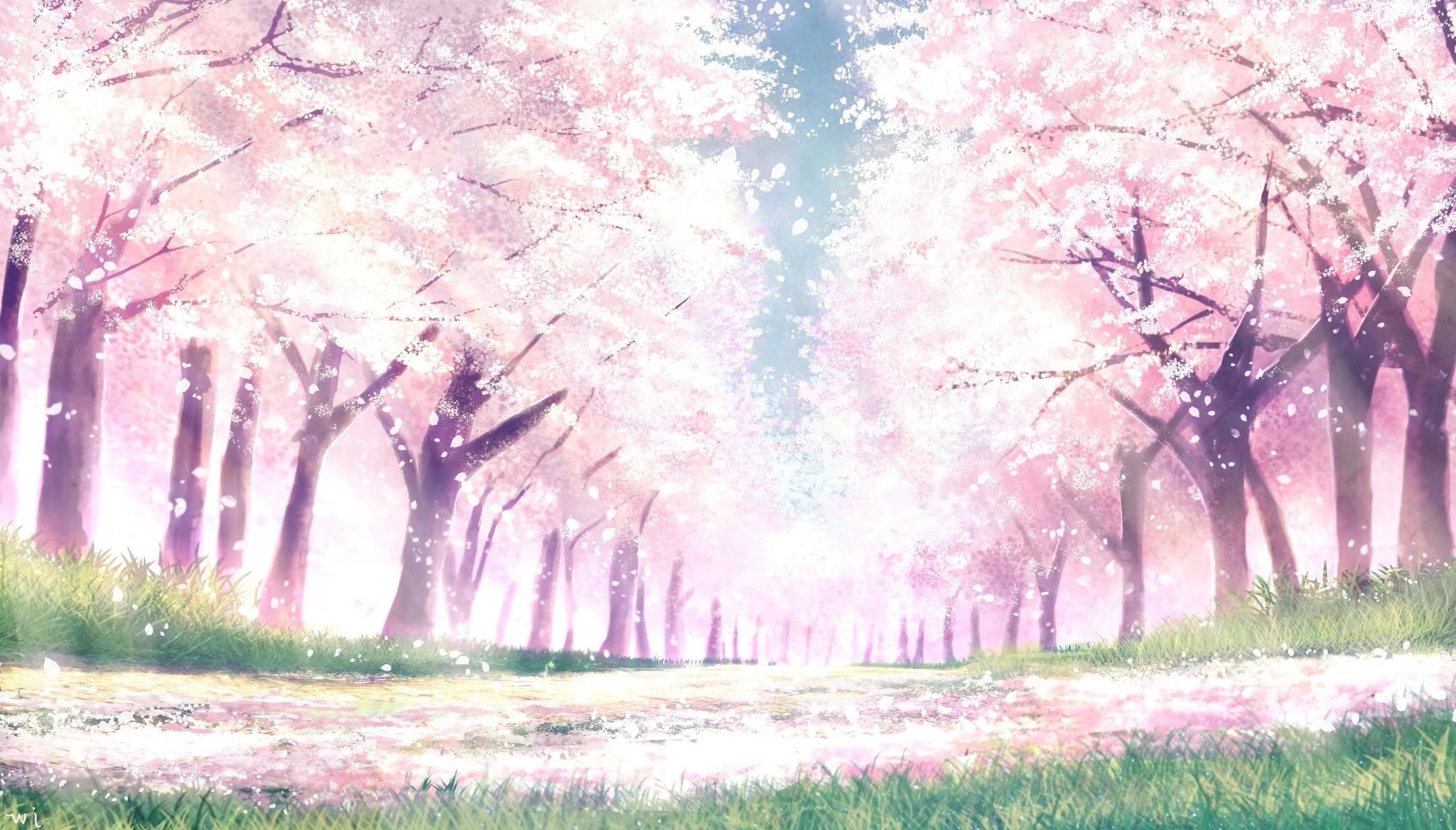 Anime Blossom Tree Desktop Wallpapers - Wallpaper Cave