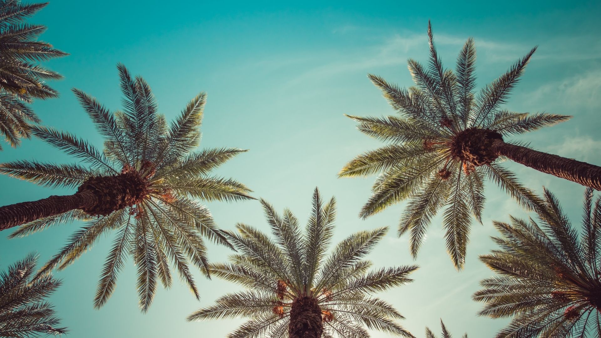Karol G, Chicano Batman, and More Latino Talent in Coachella 2022 Lineup