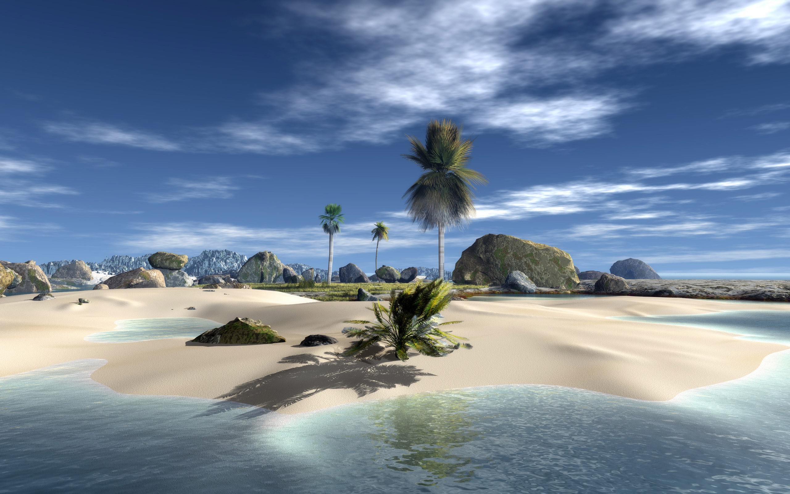 digital Art, Beach, Palm Trees, Stones Wallpaper HD / Desktop and Mobile Background