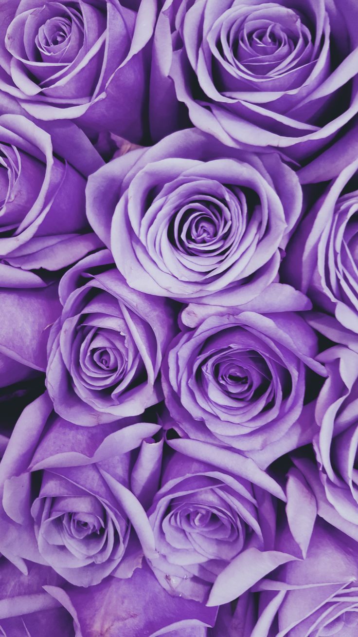 Purple Color Inspiration Trend Council. Purple flowers wallpaper, Purple aesthetic, Purple wallpaper iphone