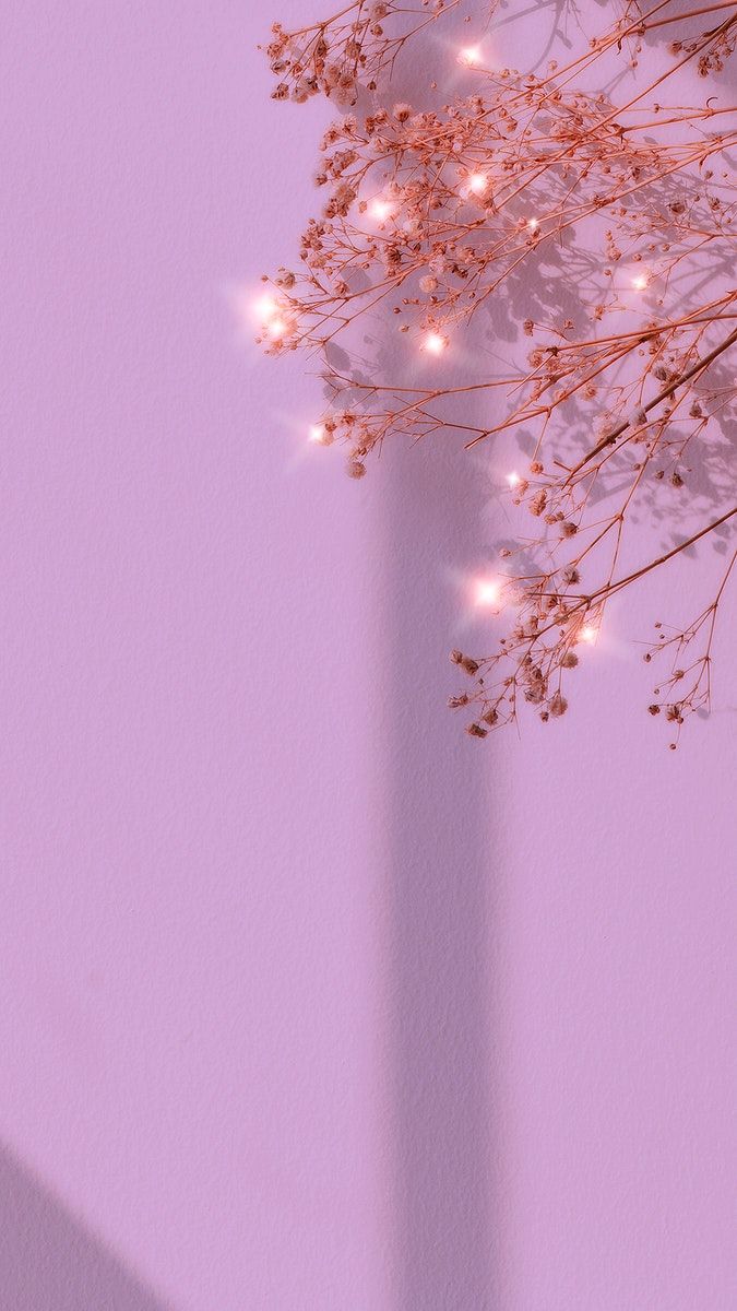 Download free image of Purple sparkle dried flower background image by Ning about wallpaper, purple wallpaper iphone wallpaper, purple, flower, and background minimal 2685493