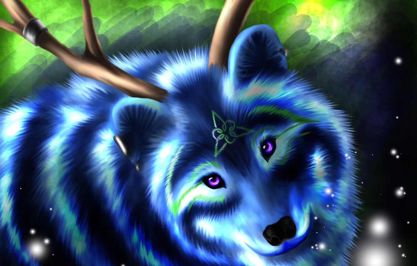 Wallpaper look, face, blue, animal, wolf, wool, symbol, horns image for desktop, section фантастика