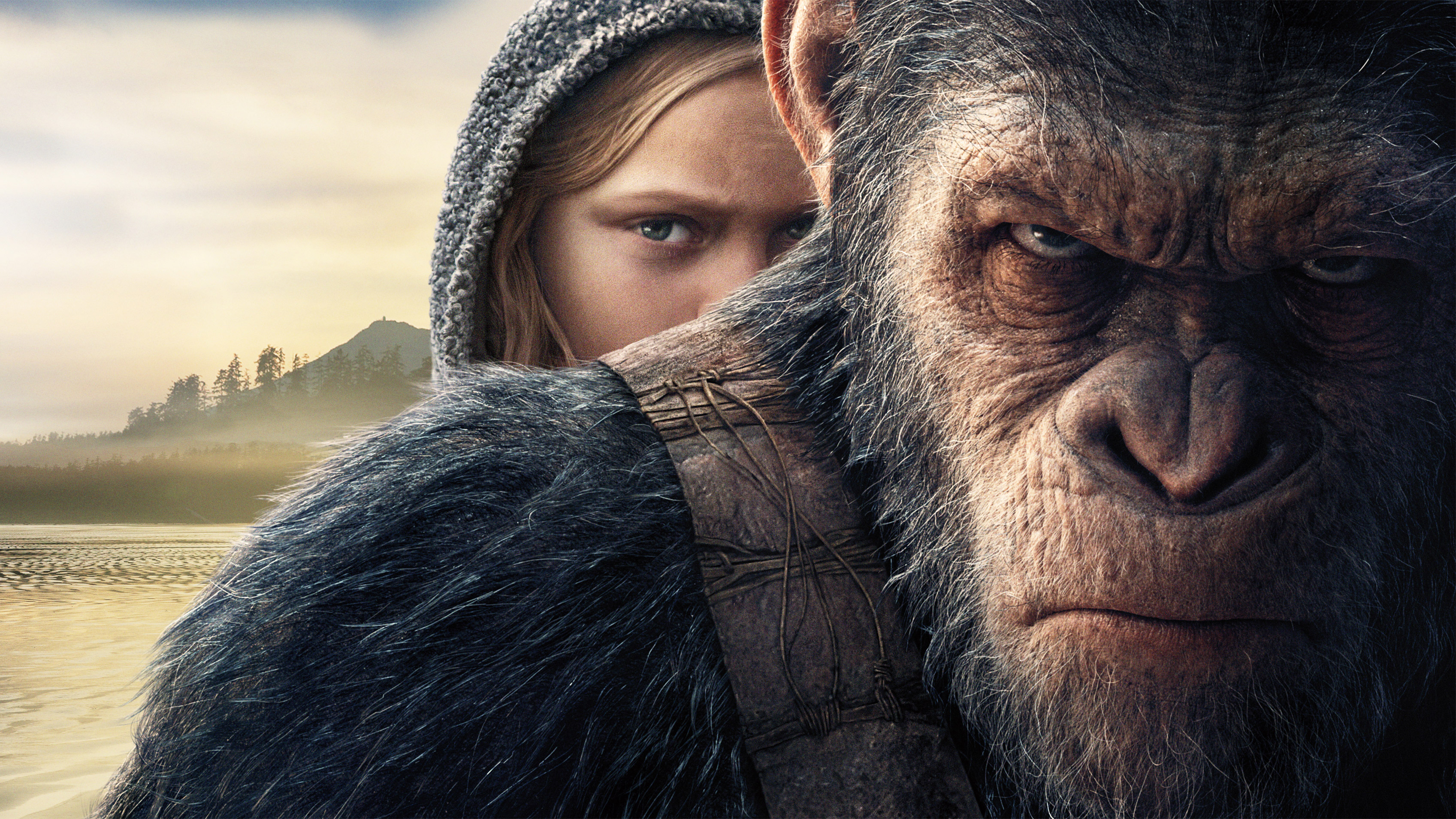 War For The Planet Of The Apes, HD Movies, 4k Wallpaper, Image, Background, Photo and Picture