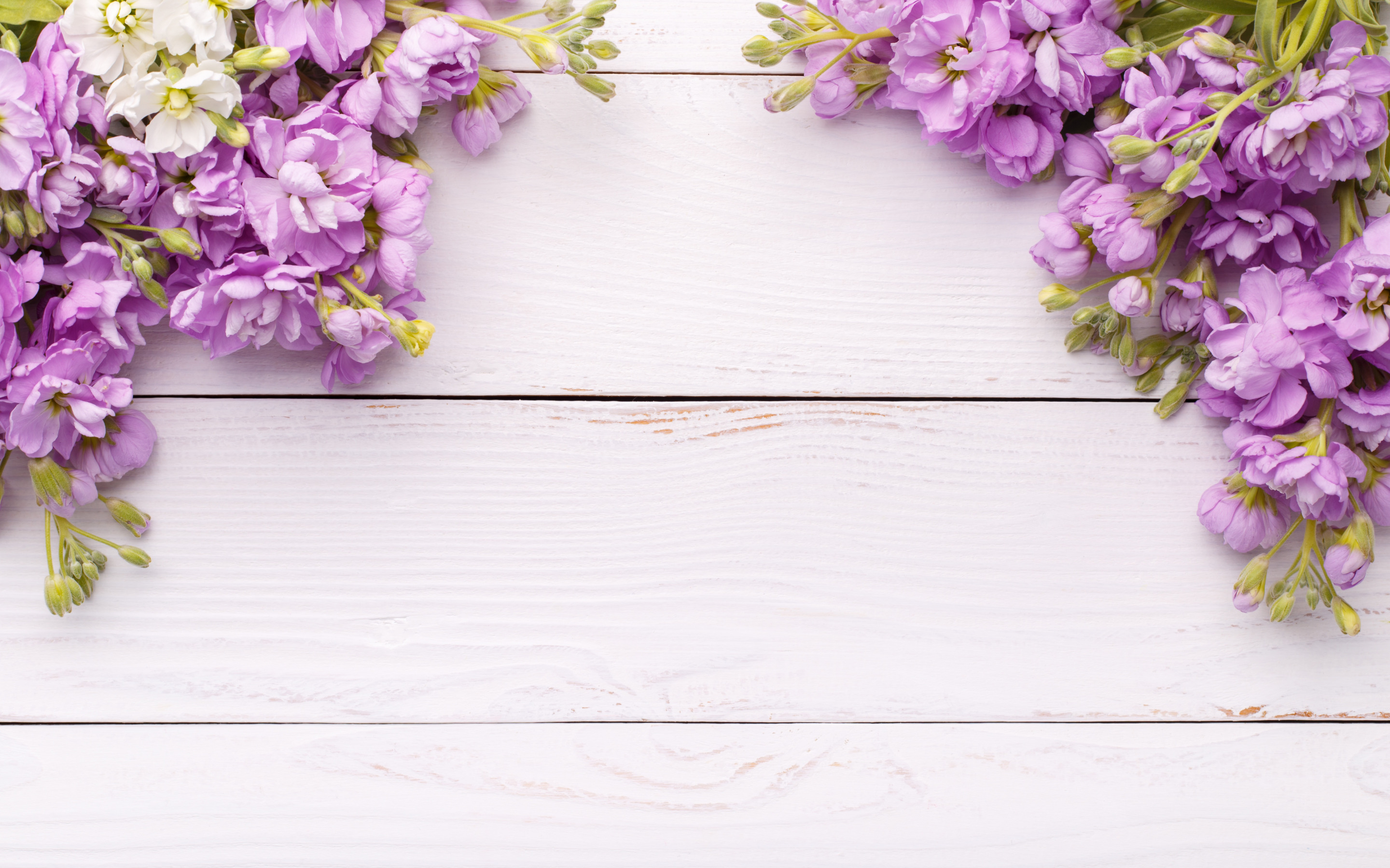 Download wallpaper frame of purple flowers, spring frame, white wooden background, wooden texture, spring for desktop with resolution 2880x1800. High Quality HD picture wallpaper