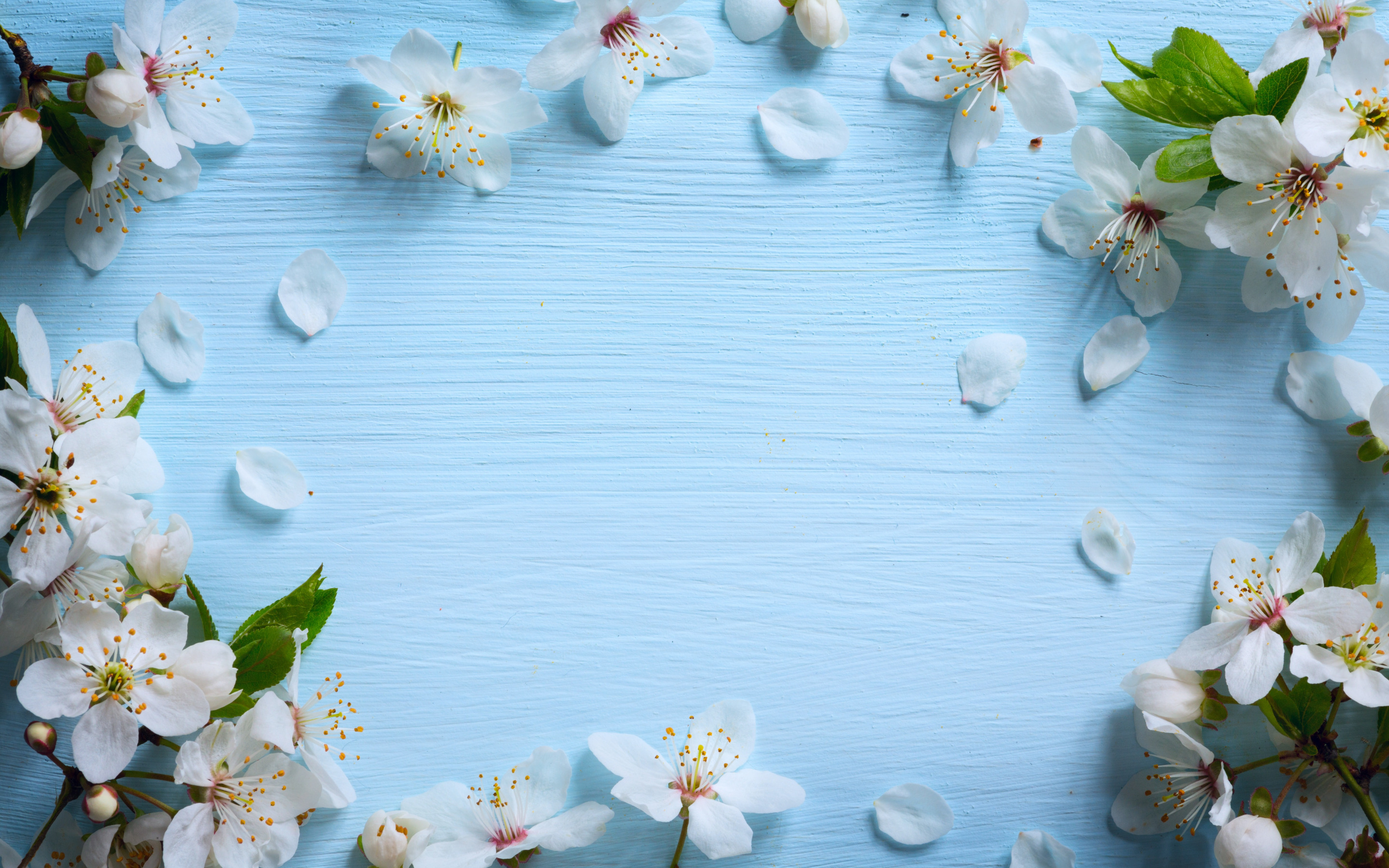 Download wallpaper spring flower frame, apple blossom, blue wooden background, white flowers, wooden texture, floral frame for desktop with resolution 2880x1800. High Quality HD picture wallpaper