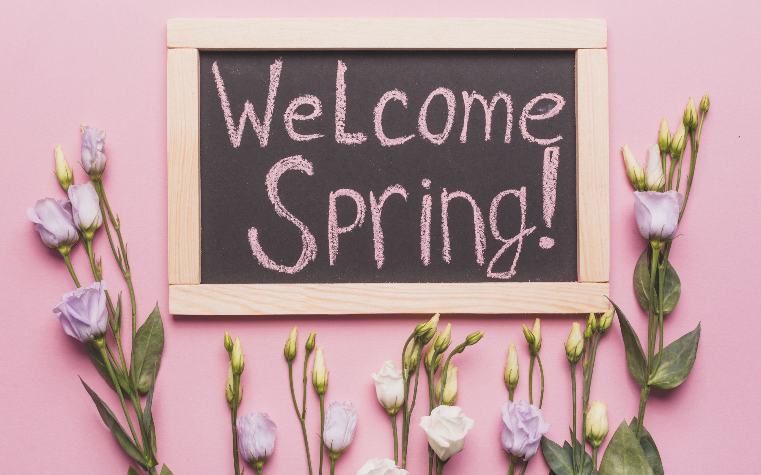 Welcome Spring, Pink Flowers, Wooden Board, Eustoma