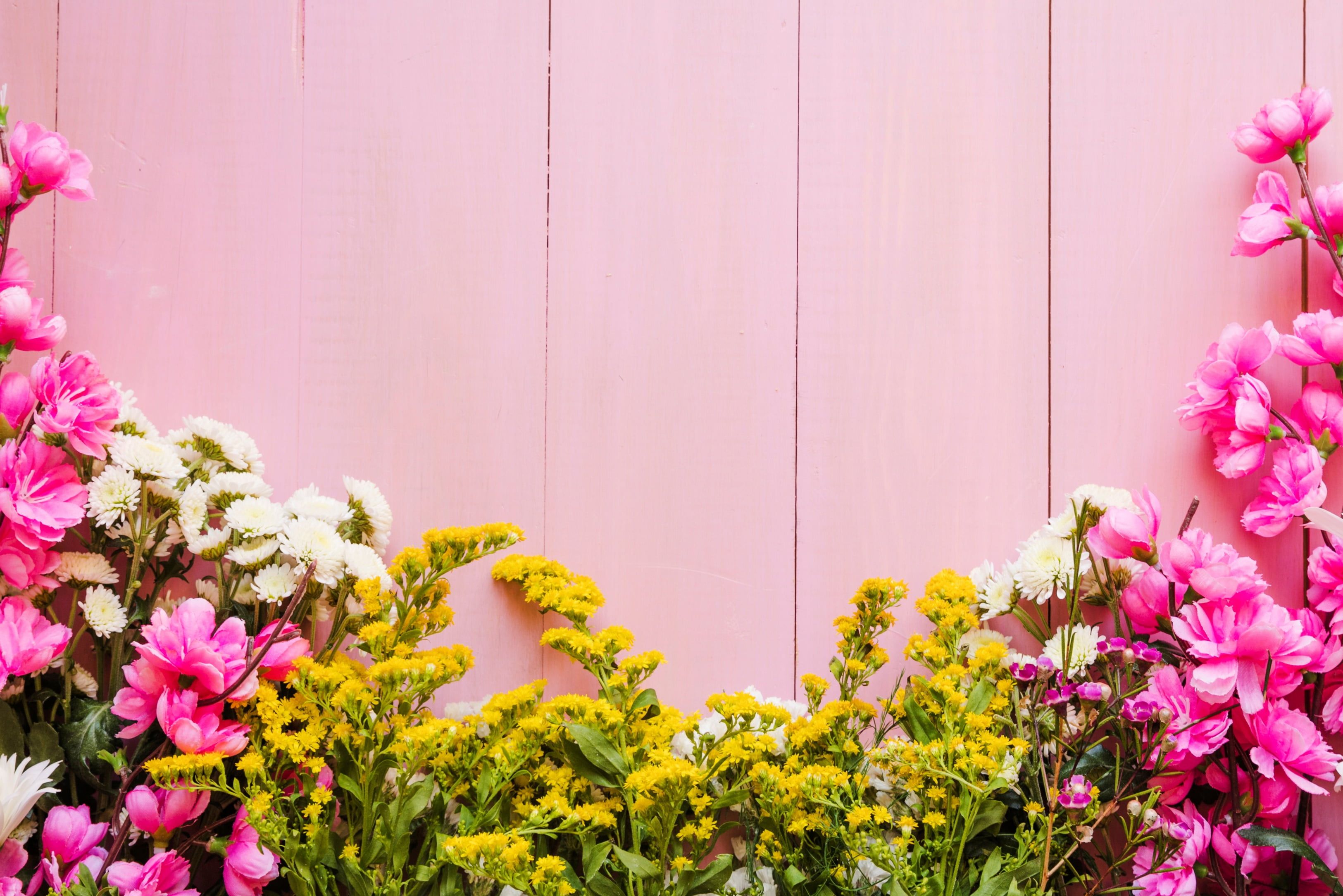 flowers #background #pink #pink #flowers #background #wooden #spring #floral K #wallpaper #h. Spring flowers background, Flower wallpaper, Pink flowering trees