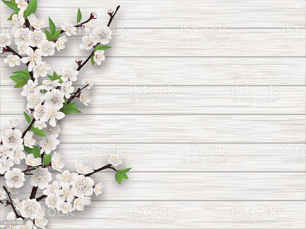 Spring Cherry Branch On White Old Wood Background Stock Illustration Image Now