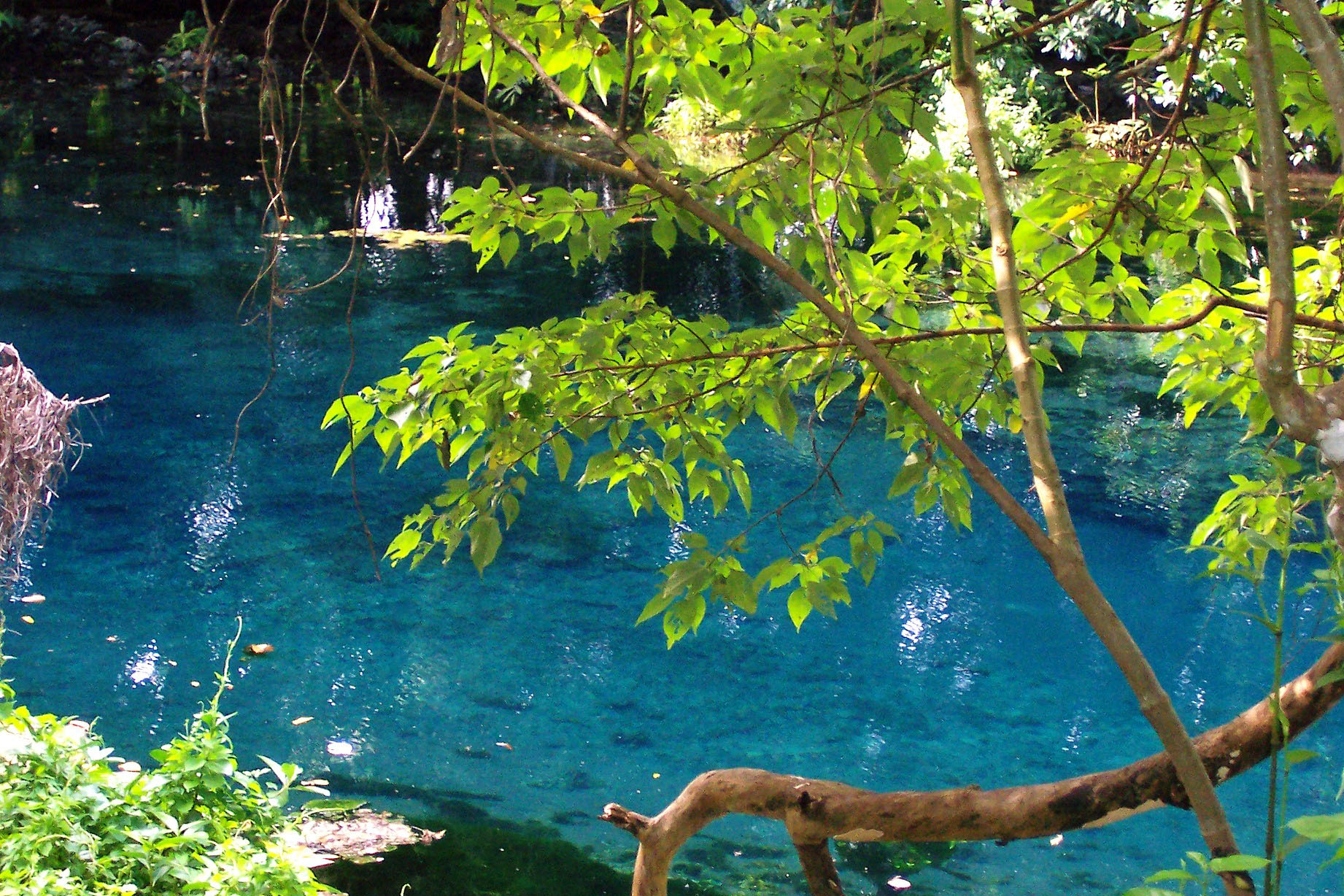 Asisbiz Clear blue ocean Espiritu Santo Vanuatu 01