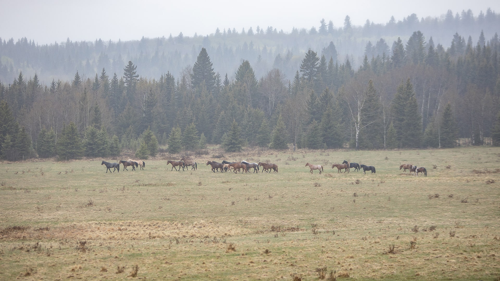 Five photo without context