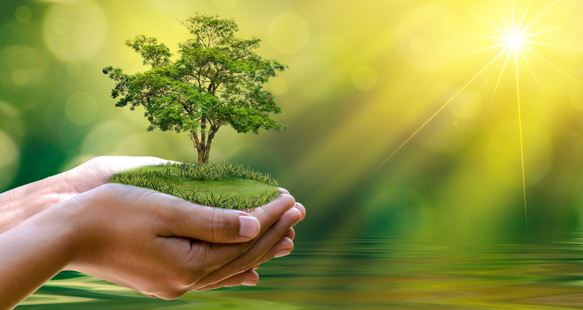 Earth Day 2022: What and When is Earth Day?' Almanac