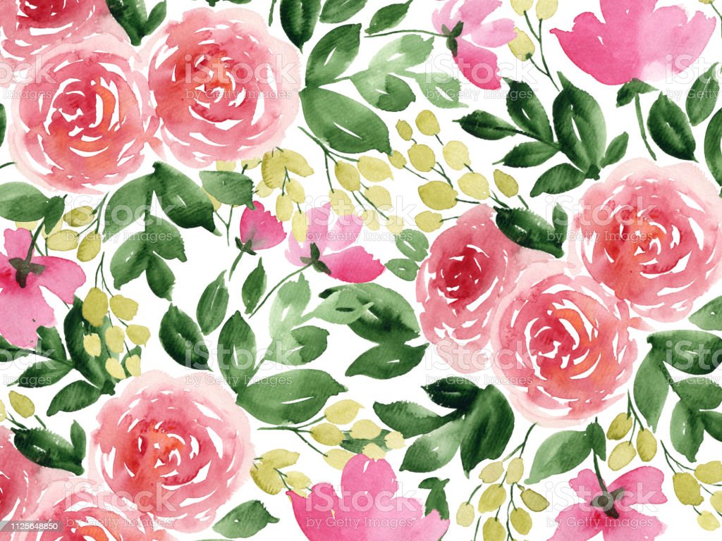 Colorful Watercolor Background With Spring Flowers Hand Painted Tea Roses Stock Illustration Image Now