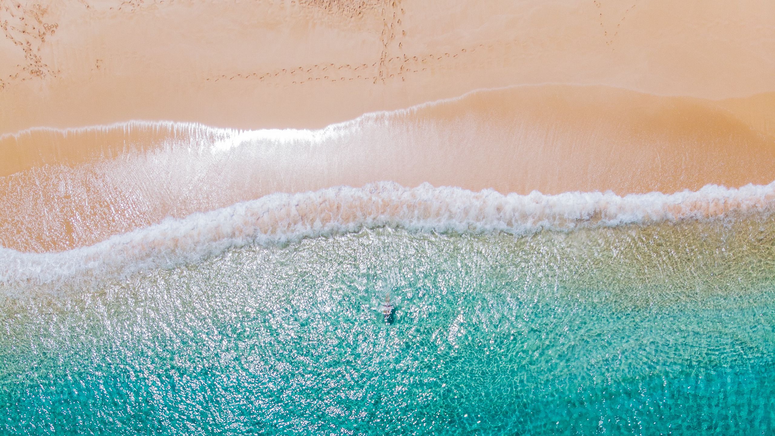 Download wallpaper 2560x1440 beach, sea, aerial view, water, people, summer widescreen 16:9 HD background