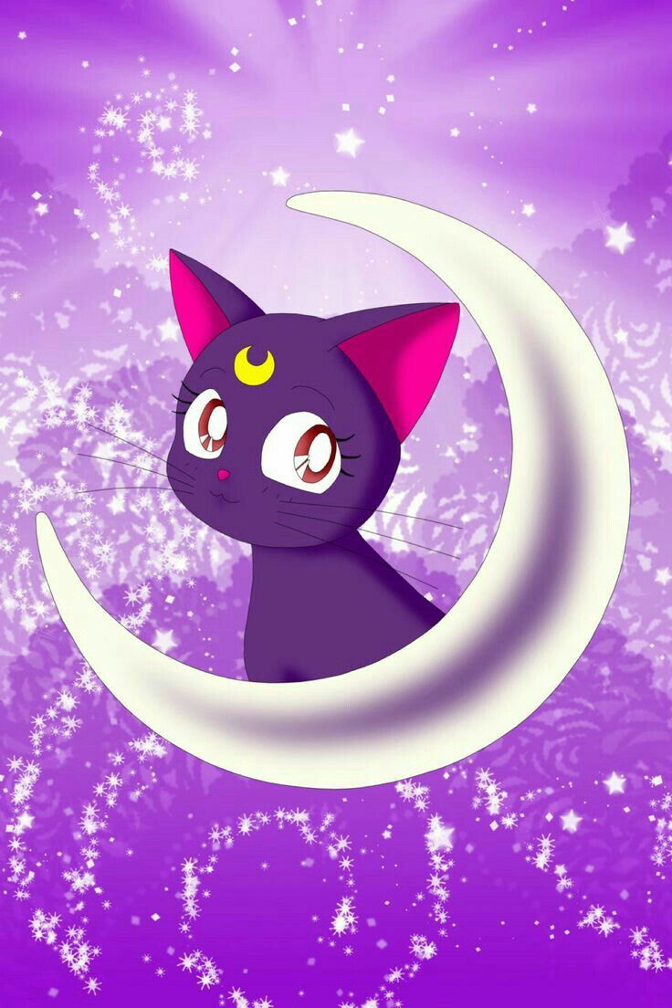 Luna & Artemis❤❤. Sailor moon cat, Sailor moon wallpaper, Sailor moon tattoo