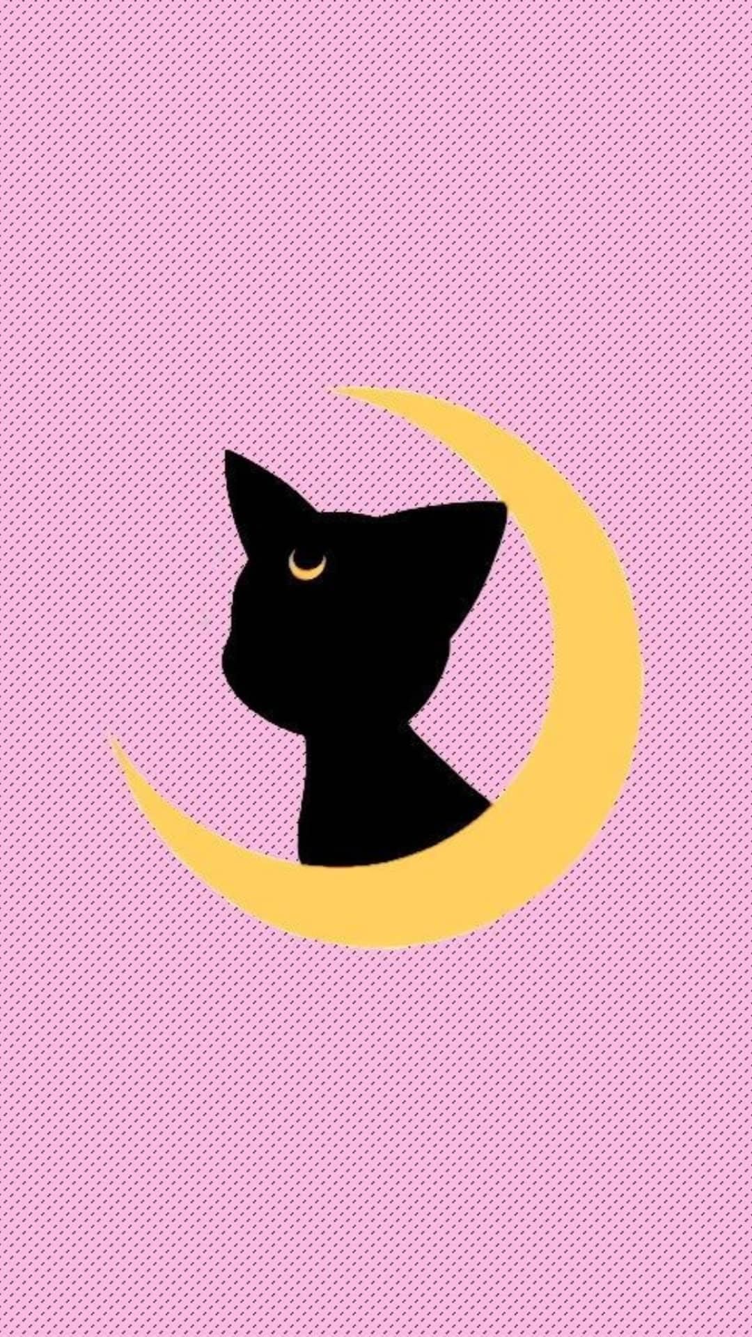 Розовая кошка на черном фоне