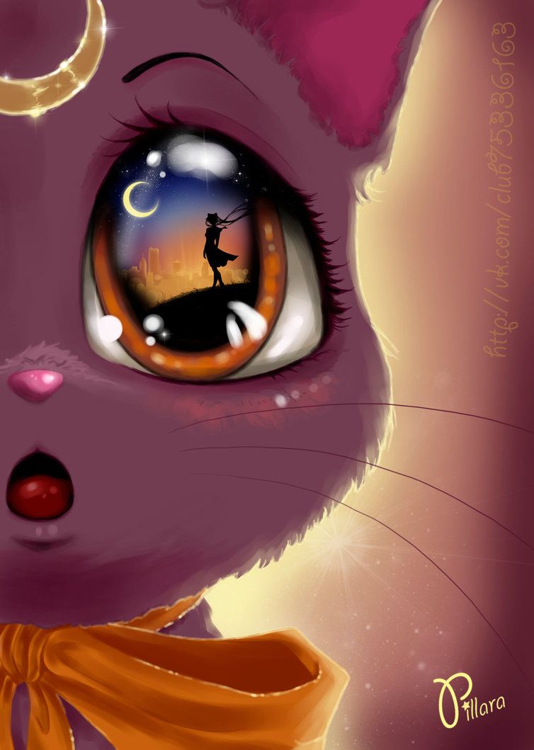 Luna Cat. Sailor moon cat, Sailor moon crystal, Sailor moon fan art