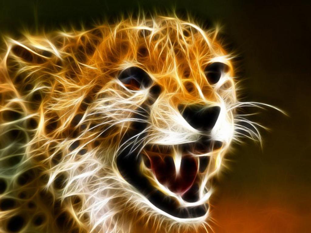 Cool Cheetah Wallpaper Free Cool Cheetah Background