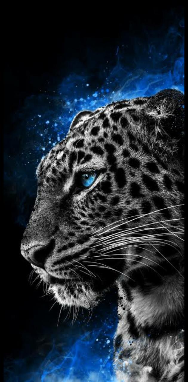 Cool cheetah wallpaper