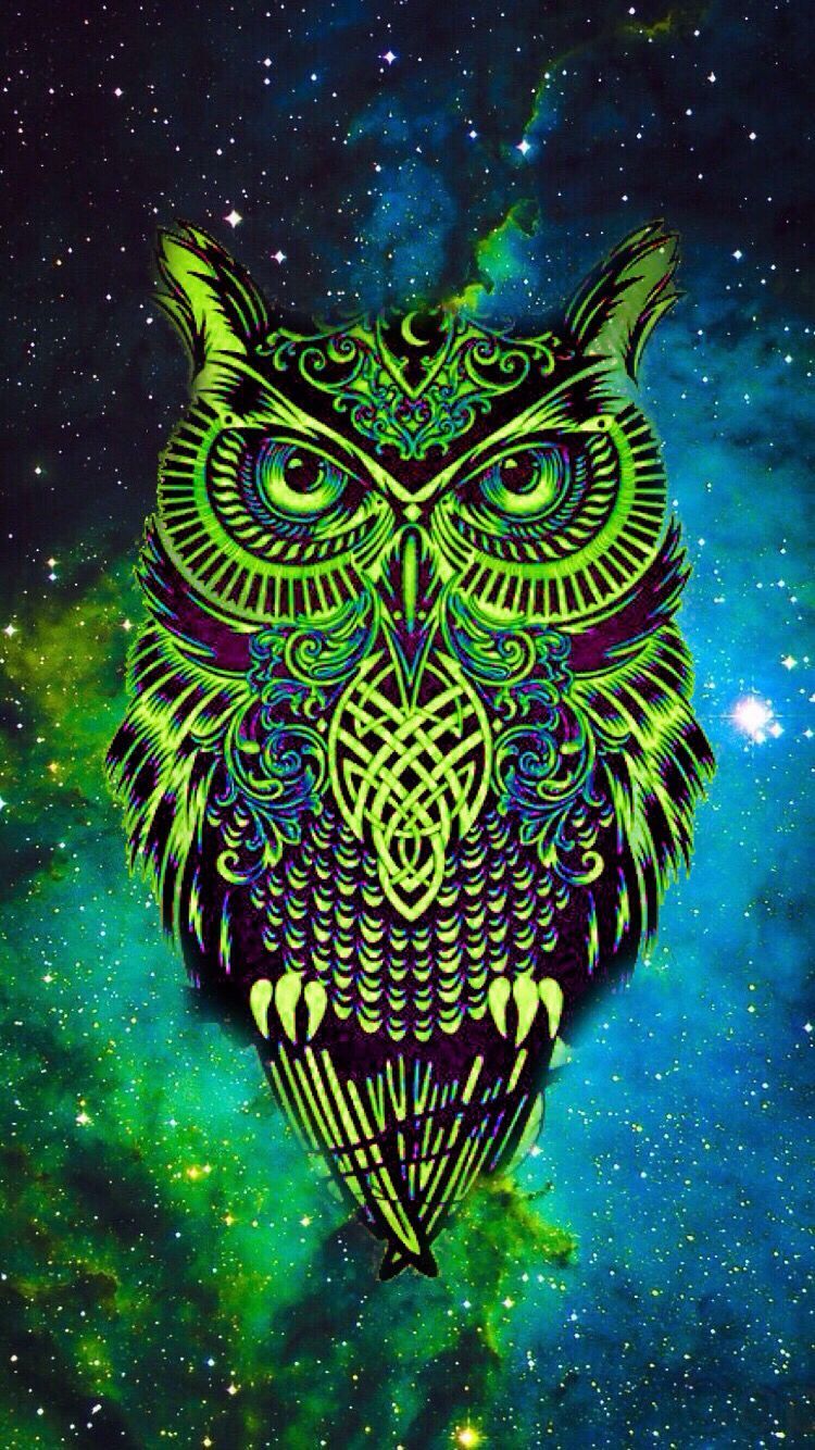 Trippy Owl Wallpaper