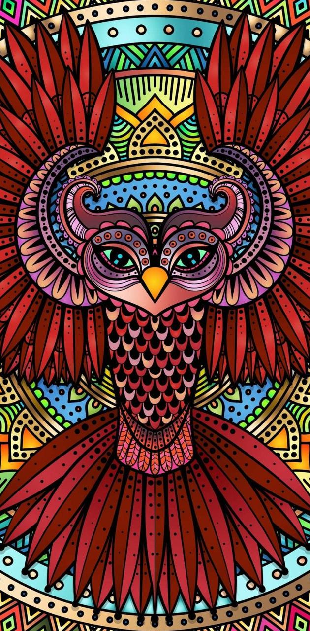 Colorful owl wallpaper