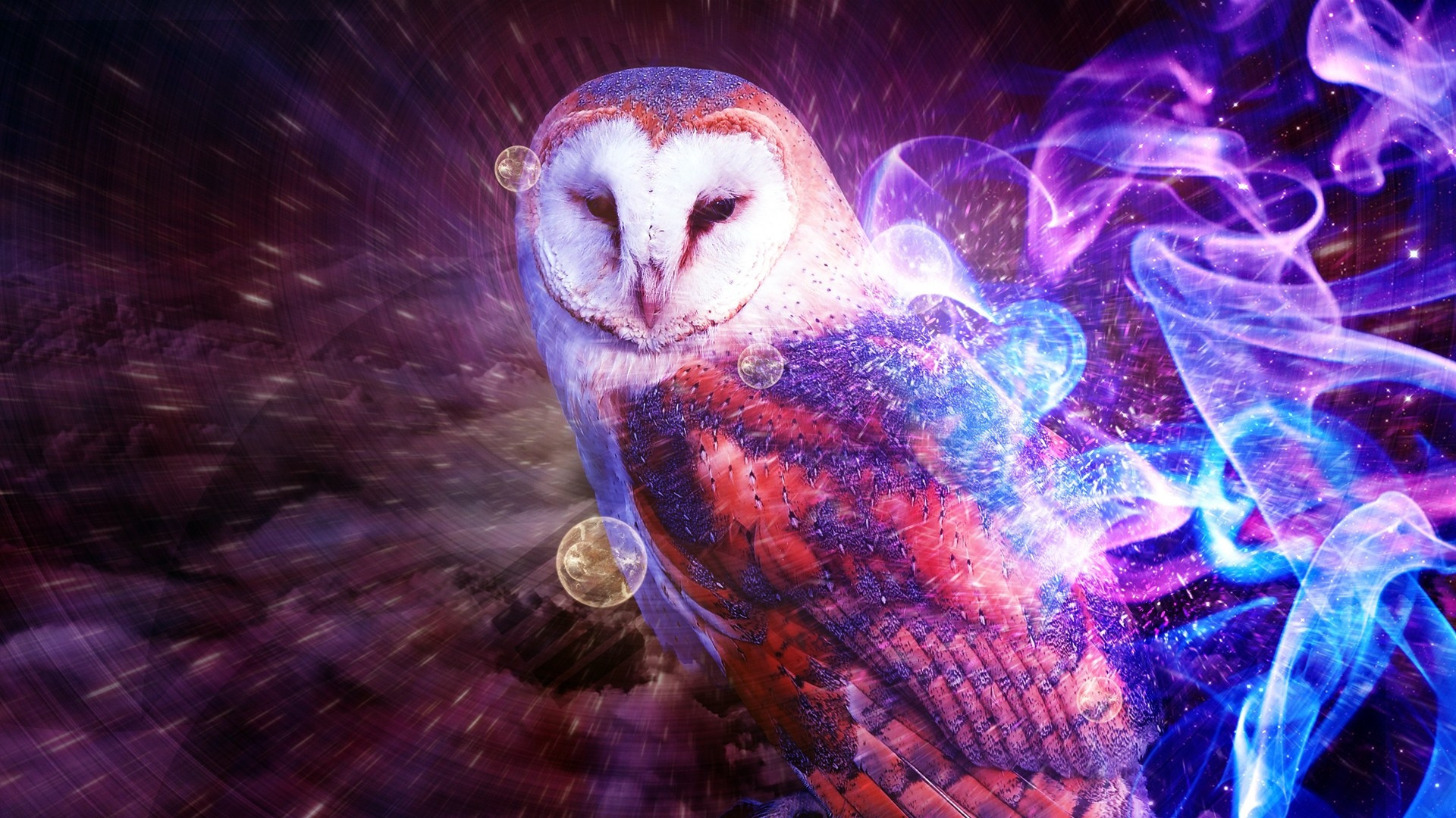Free download Some trippy owl thing [1920x1080] Wallpaper Wallpaper Picture [1920x1080] for your Desktop, Mobile & Tablet. Explore Trippy Lion Wallpaper. Trippy Phone Wallpaper, 3D Psychedelic Wallpaper, Psychedelic iPhone Wallpaper