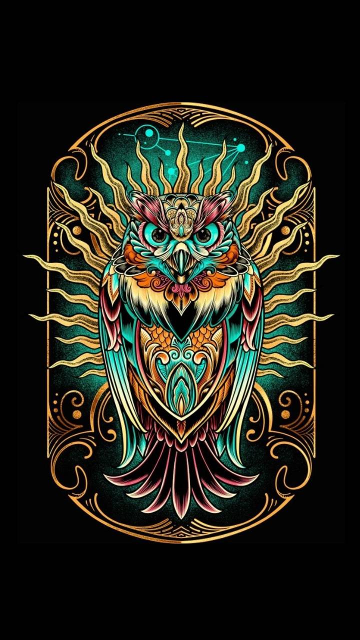 Colorful Owl Wallpaper, HD Colorful Owl Background on WallpaperBat