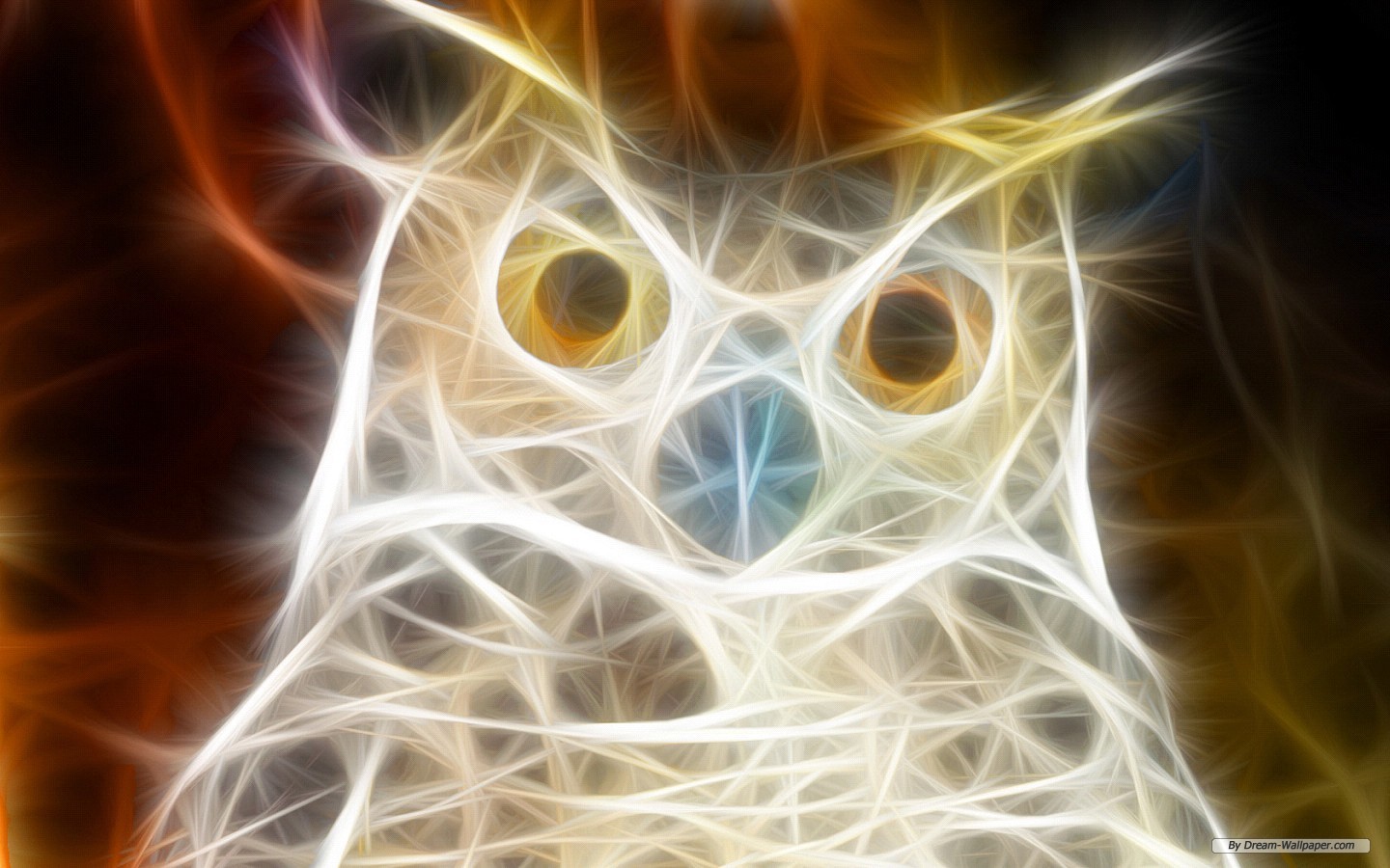 Owl Wallpaper and Background Imagex900