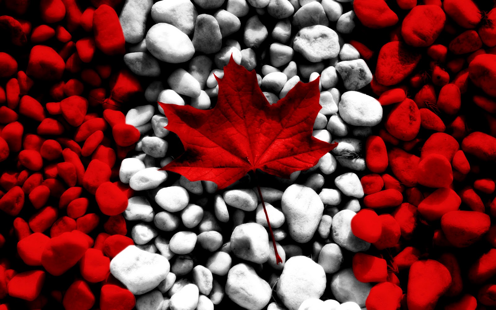 Free download Awesome Canada Flag Designs HD Wallpaper Desktop Wallpaper [1600x1000] for your Desktop, Mobile & Tablet. Explore Wallpaper Patterns Canada. Wallpaper for Walls, Black and White Wallpaper Patterns