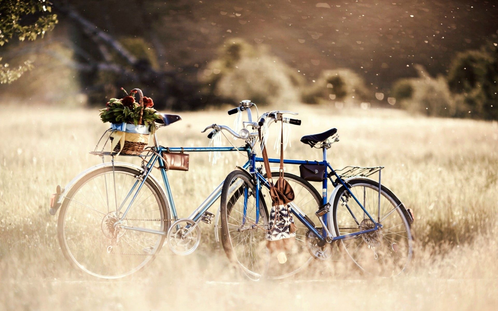 Bicycle Wallpaper, HD Bicycle Background on WallpaperBat