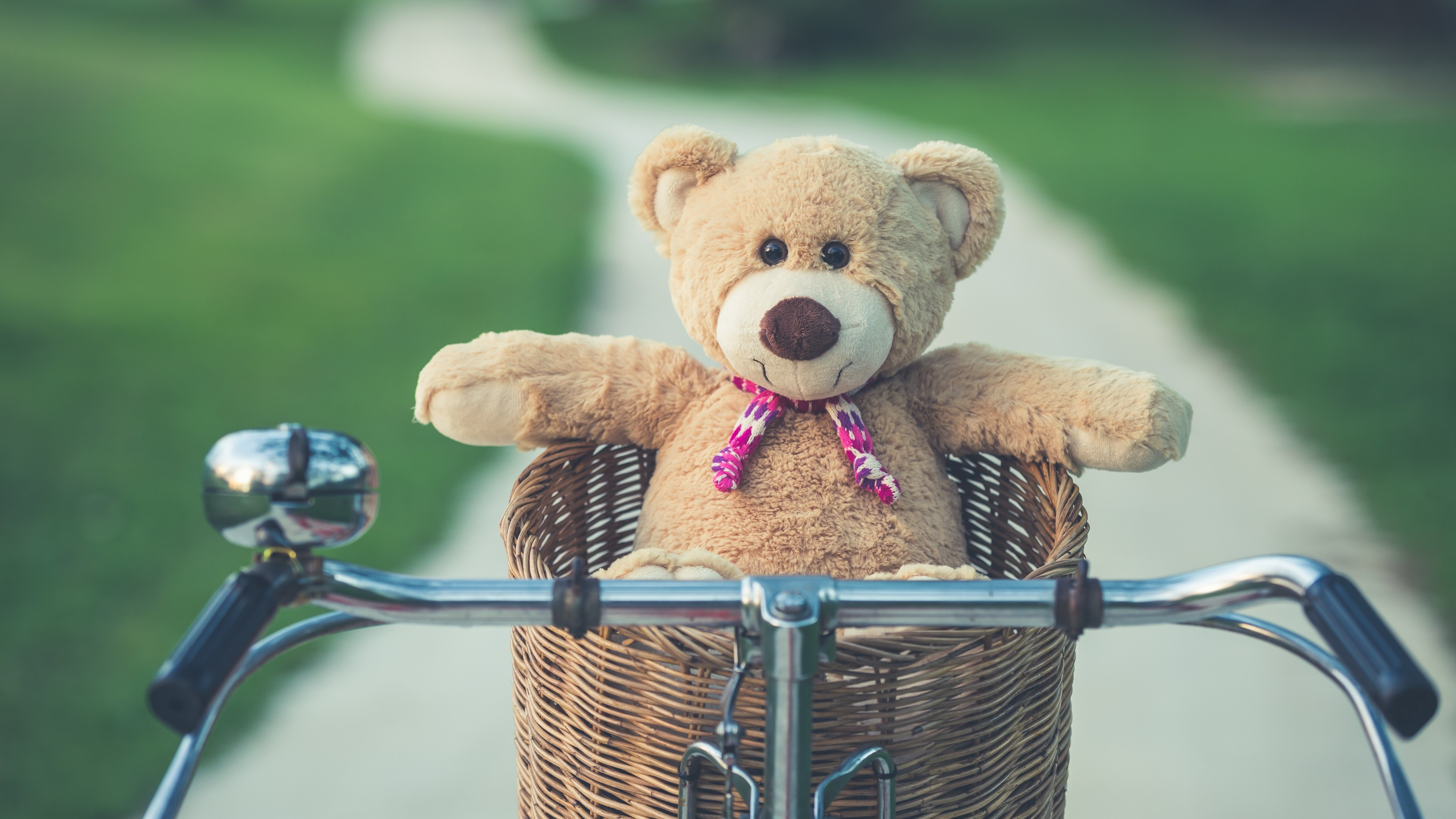 Download 3840x2160 Teddy Bear, Bicycle, Vintage, Toy, Summer Wallpaper for UHD TV