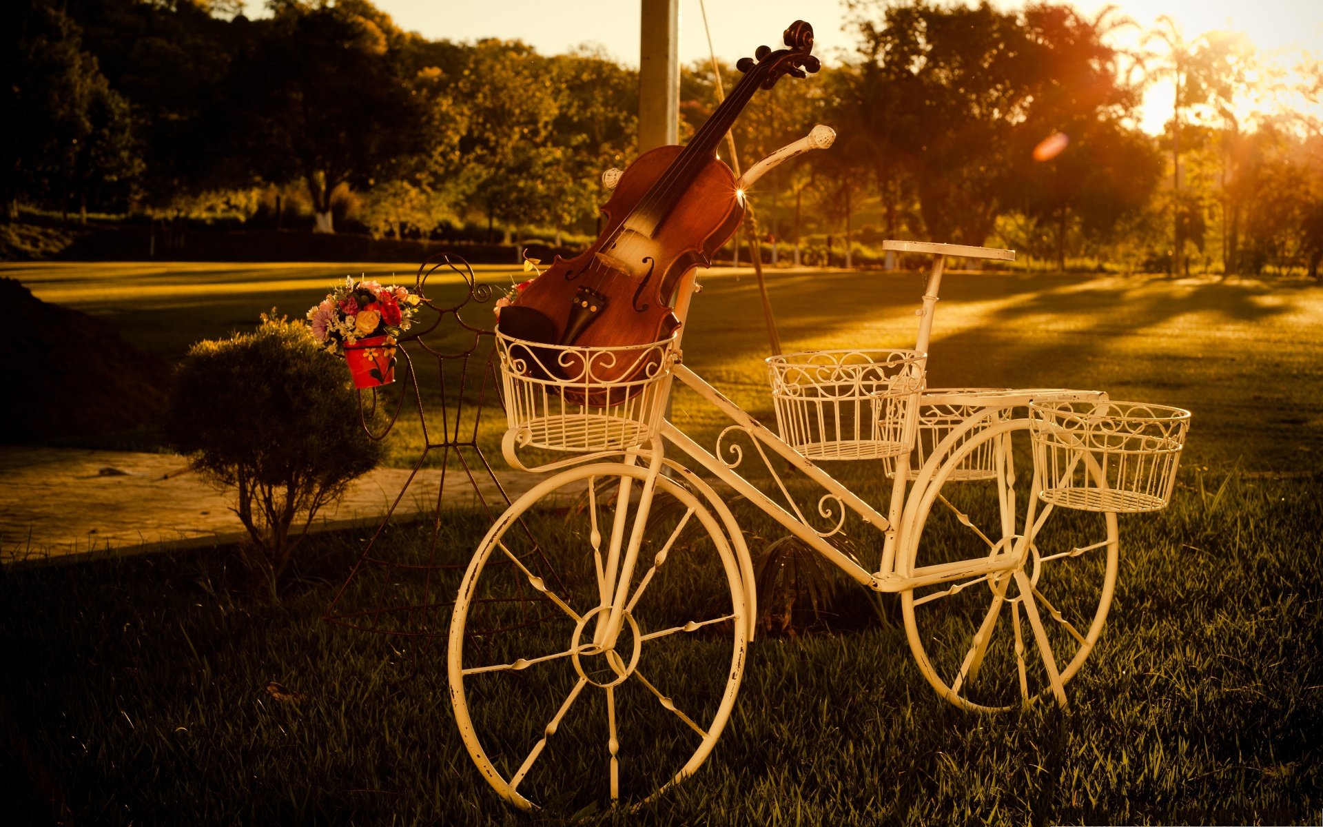 sunset, Bike, Mood, Tree, Grass, Beauty, Violin, Beautiful, Summer Wallpaper HD / Desktop and Mobile Background
