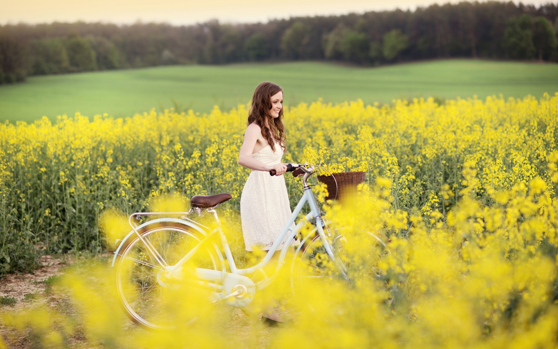 Summer Bicycle Wallpapers - Wallpaper Cave