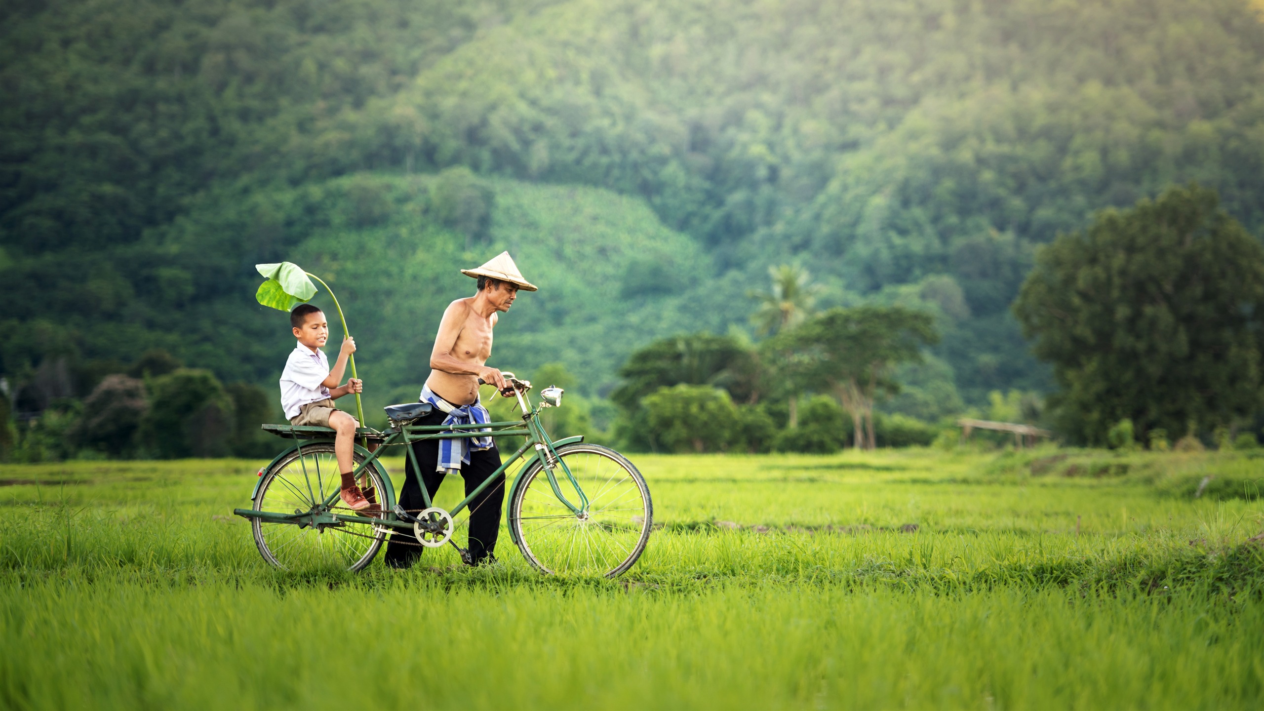 Summer Fathers Day Jungle Field Sunny Bike