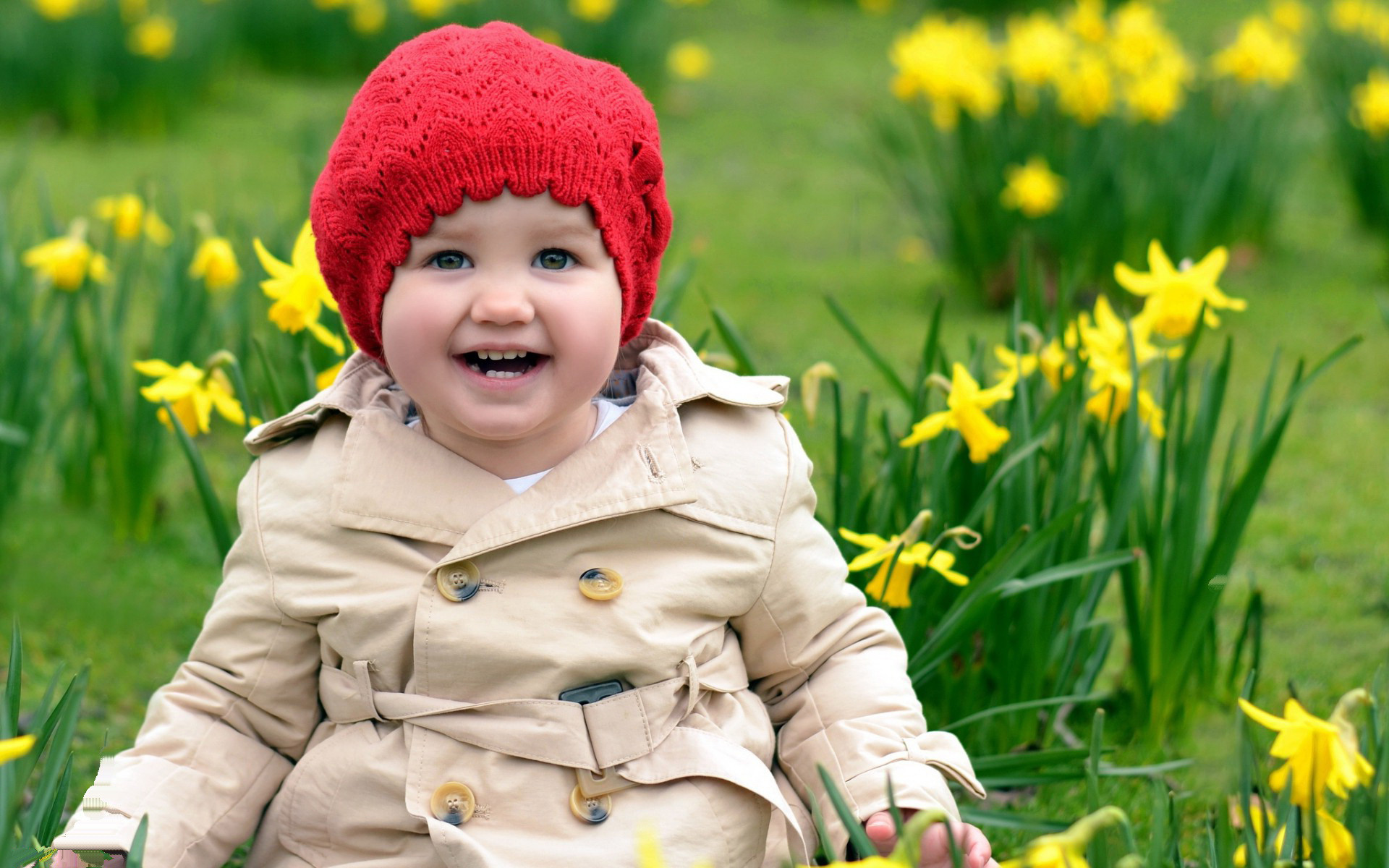 Baby Girl Cute Smile Image Wallpaper Data Src English Baby Girl