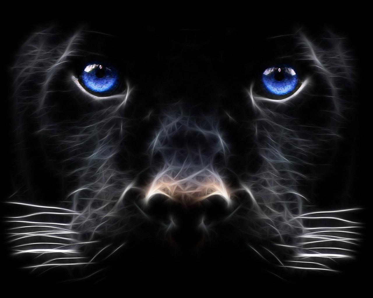 Free download HD wallpaper 20 big cat wallpaper HD wallpaper 1920 pixels [1600x1200] for your Desktop, Mobile & Tablet. Explore Free Black Cat Wallpaper. Free Cat Wallpaper, Black Cat