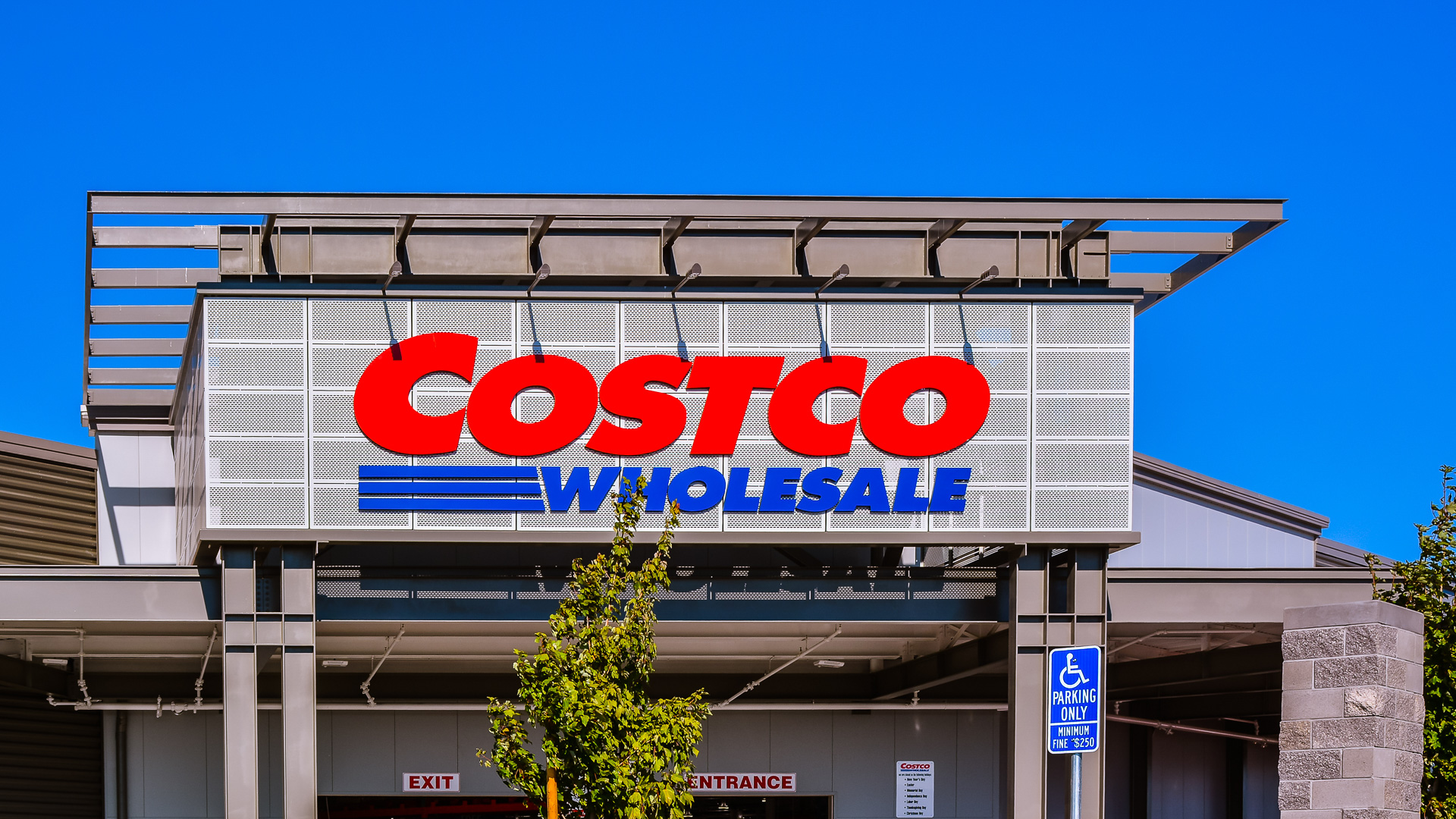 Ask The Rational Investor: Costco Wholesale a great stock and store! Beese Fulmer