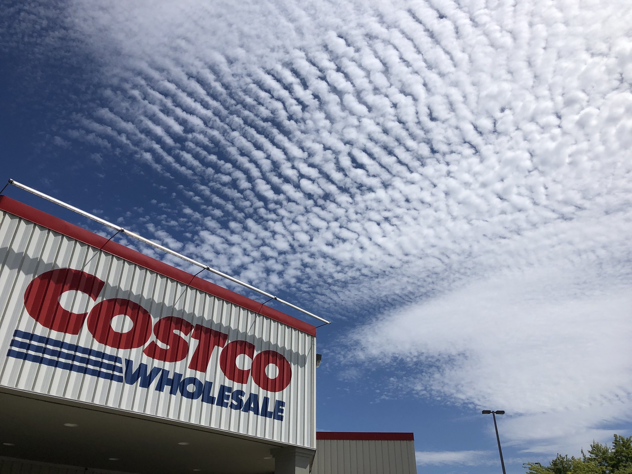 Costco closing photo centers at all store locations citing rise of camera phones and social media