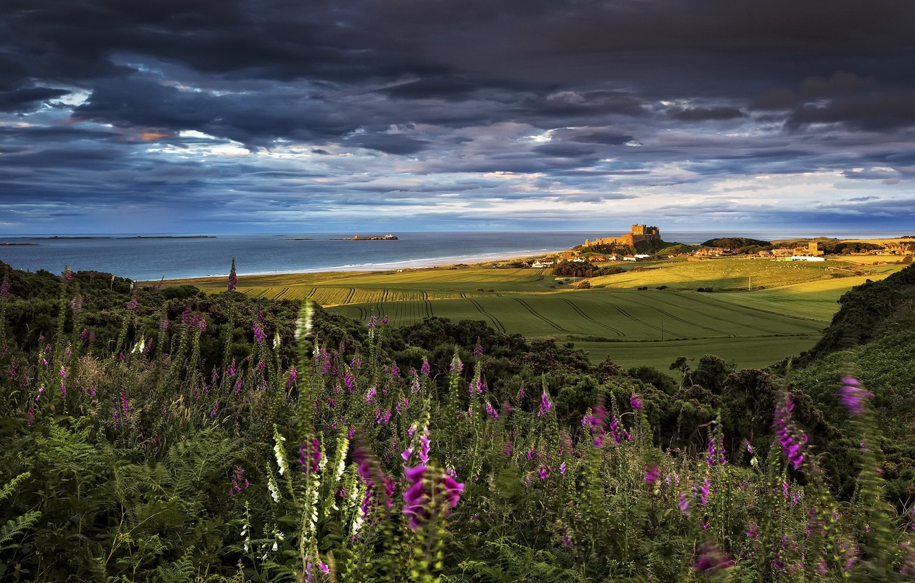 Wallpaper Bamburgh Castle, Northumberland, Farne Islands image for desktop, section пейзажи